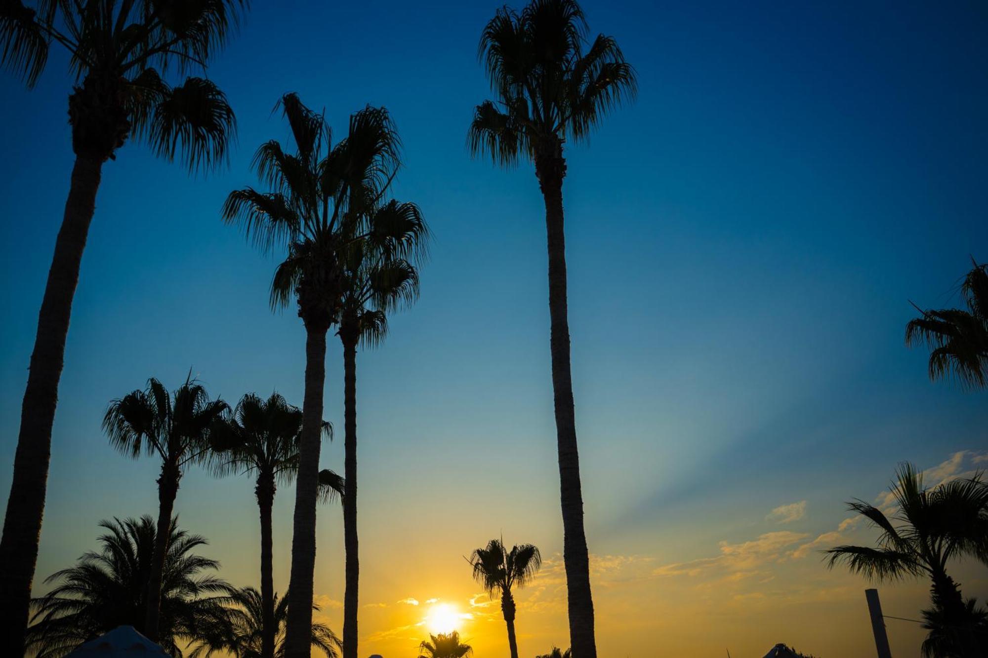 Oz Incekum Alanya